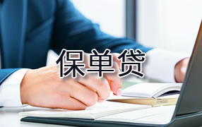 海南藏族自治州保单贷