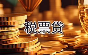 海南藏族自治州税票贷